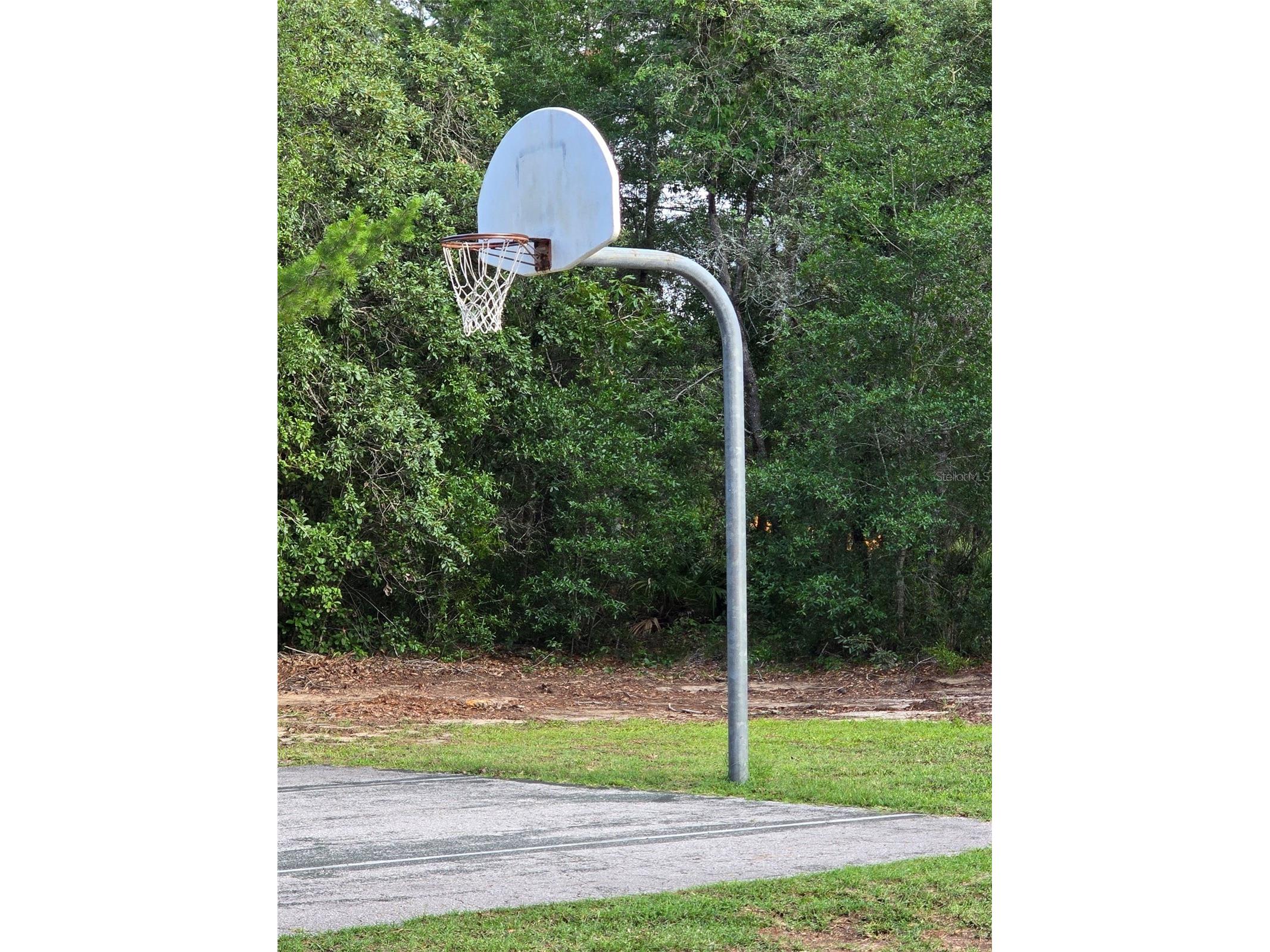 43 Matricaria Court Homosassa FL 34446 W7886201 image57