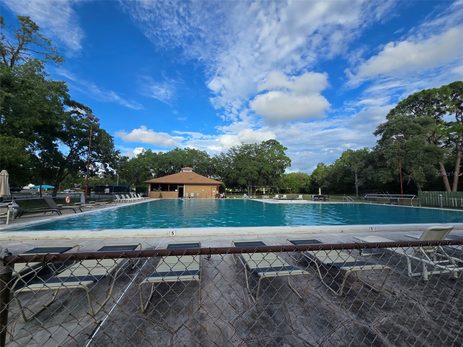 43 Matricaria Court Homosassa FL 34446 W7886201 image59