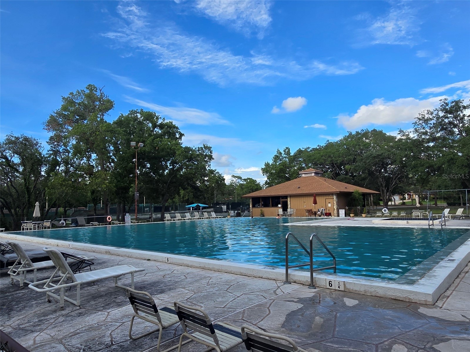 43 Matricaria Court Homosassa FL 34446 W7886201 image60