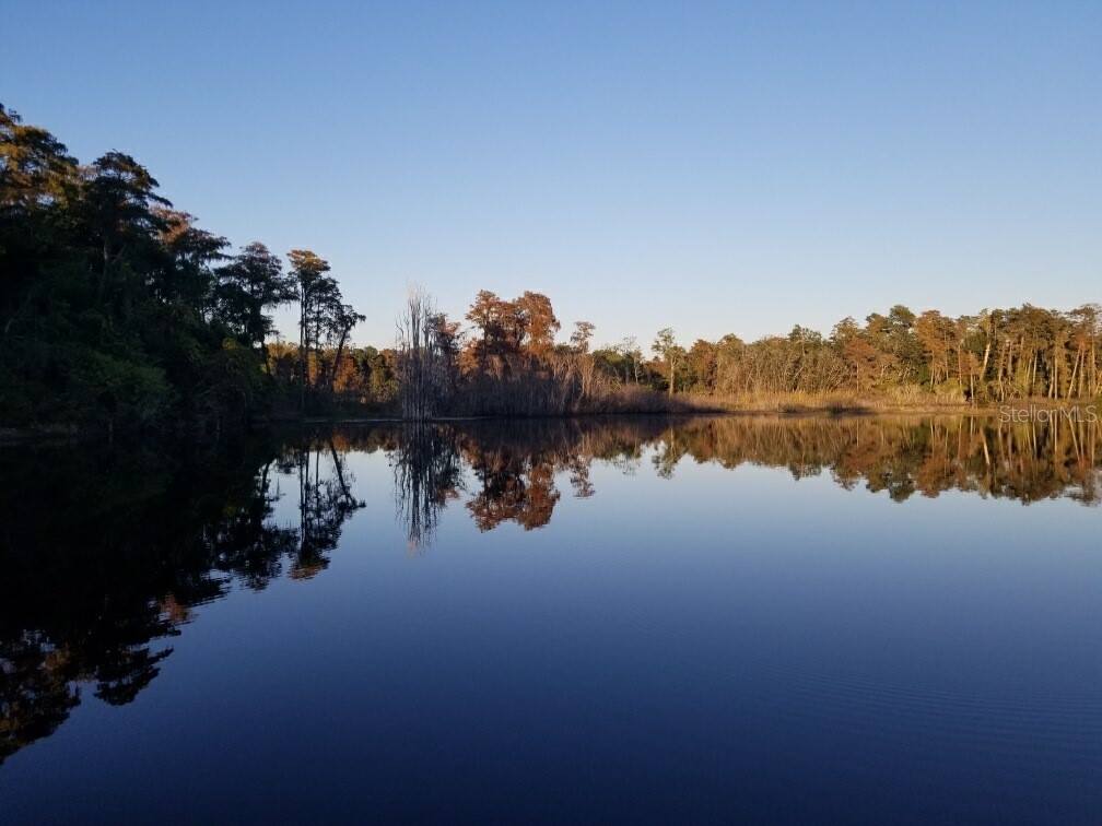 43 N Winter Park Drive Casselberry FL 32707 - LAKE YVONNE O6412591 image32