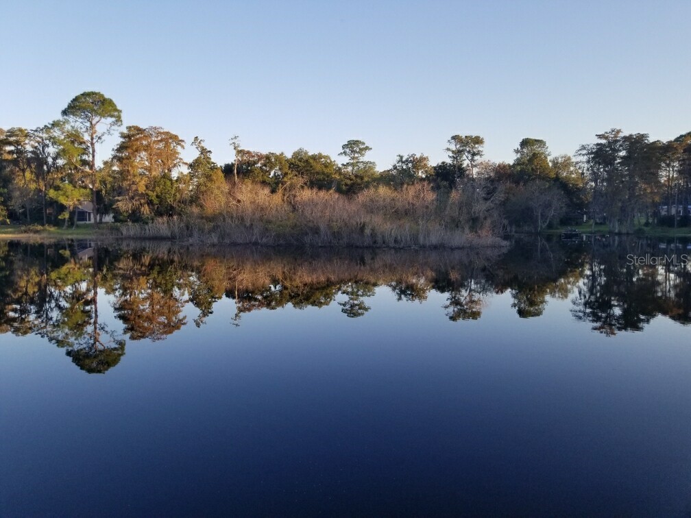 43 N Winter Park Drive Casselberry FL 32707 - LAKE YVONNE O6412591 image33