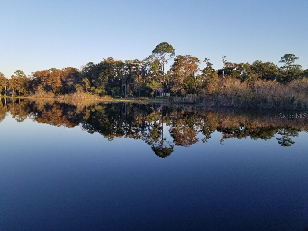 43 N Winter Park Drive Casselberry FL 32707 - LAKE YVONNE O6412591 image35