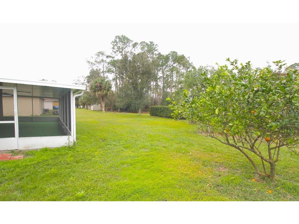 43 Peppercorn Lane Palm Coast FL 32164 FC318065 image37