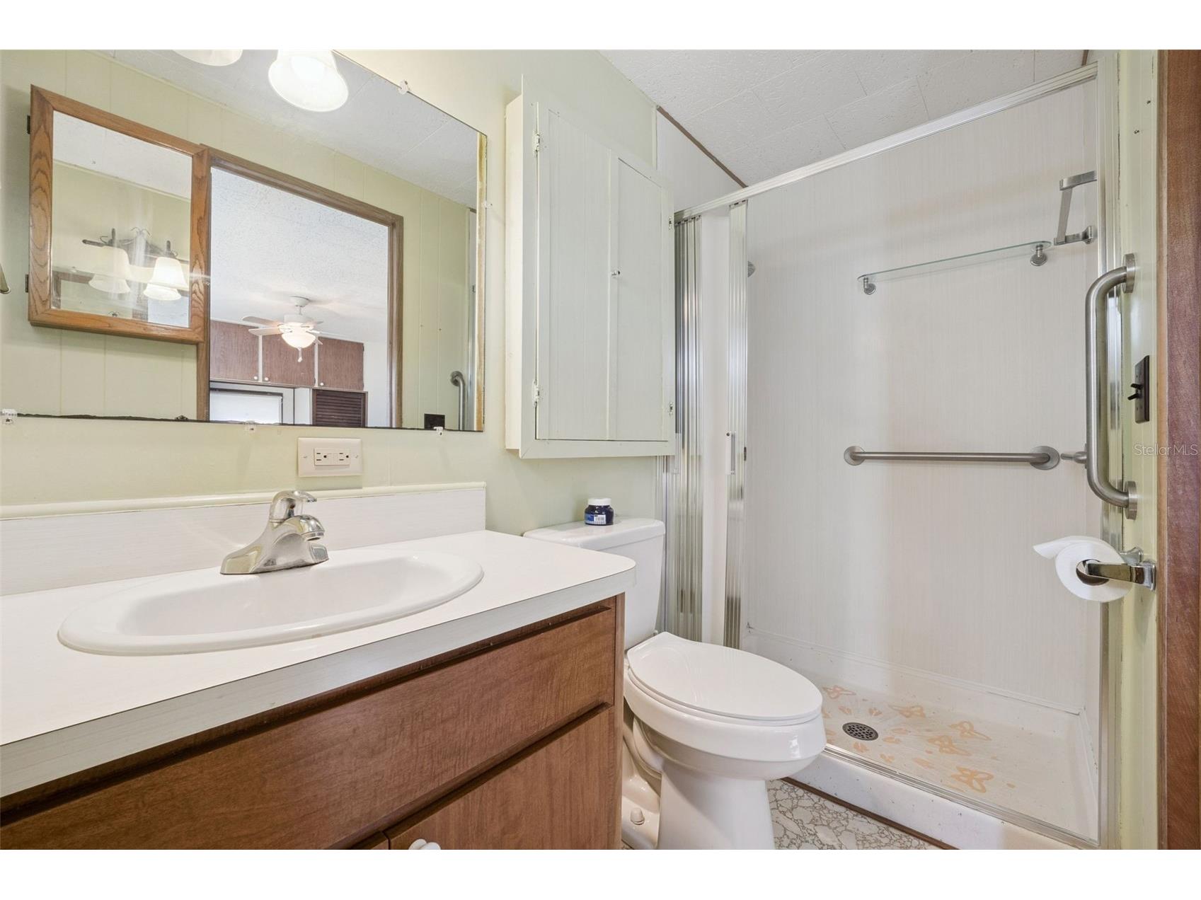 43 Sabal Palm Circle Eustis FL 32726 - Trout Lake O6408775 image16
