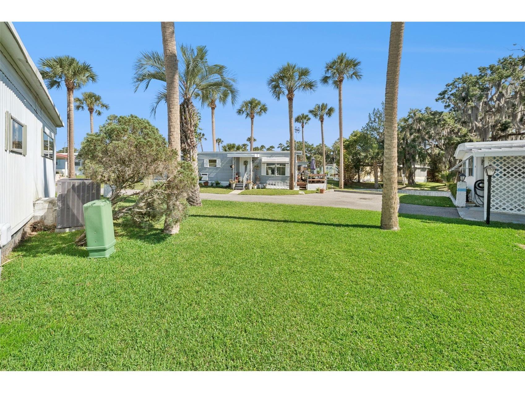 43 Sabal Palm Circle Eustis FL 32726 - Trout Lake O6408775 image23