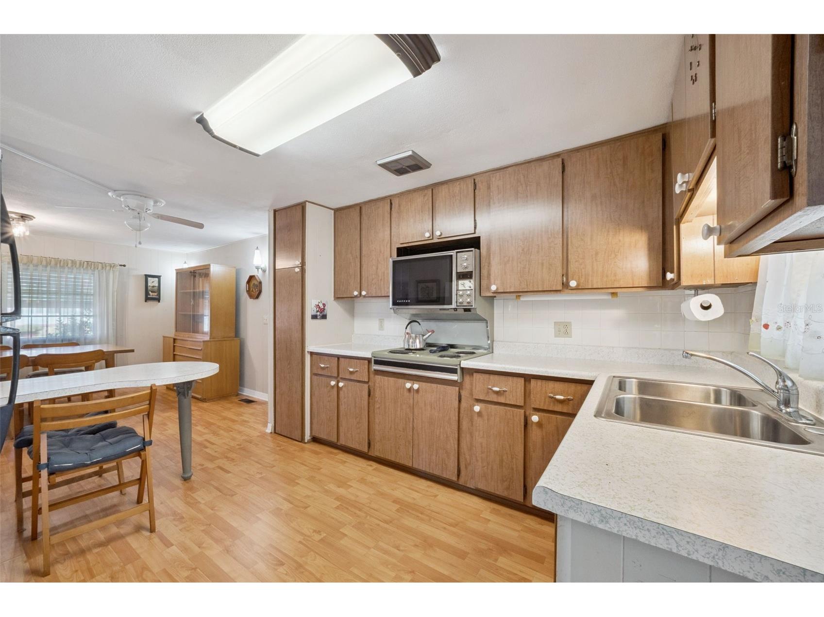 43 Sabal Palm Circle Eustis FL 32726 - Trout Lake O6408775 image5