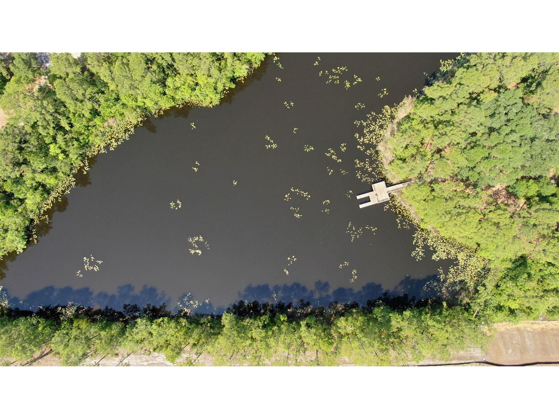 43 Willow Street Palm Coast FL 32164 FC315814 image48