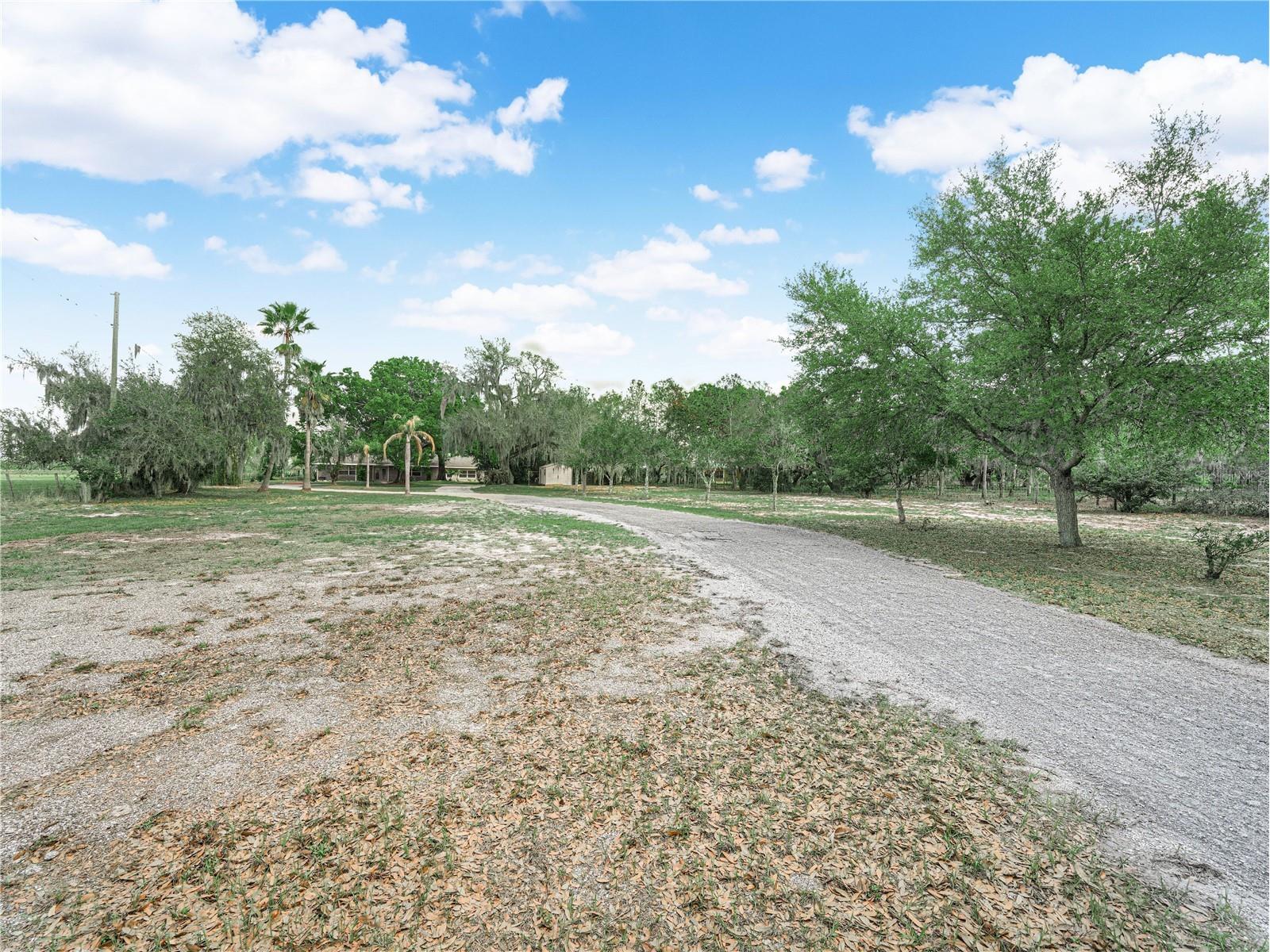 430 Alturas Babson Park Cutoff Lake Wales FL 33859 P4938264 image3