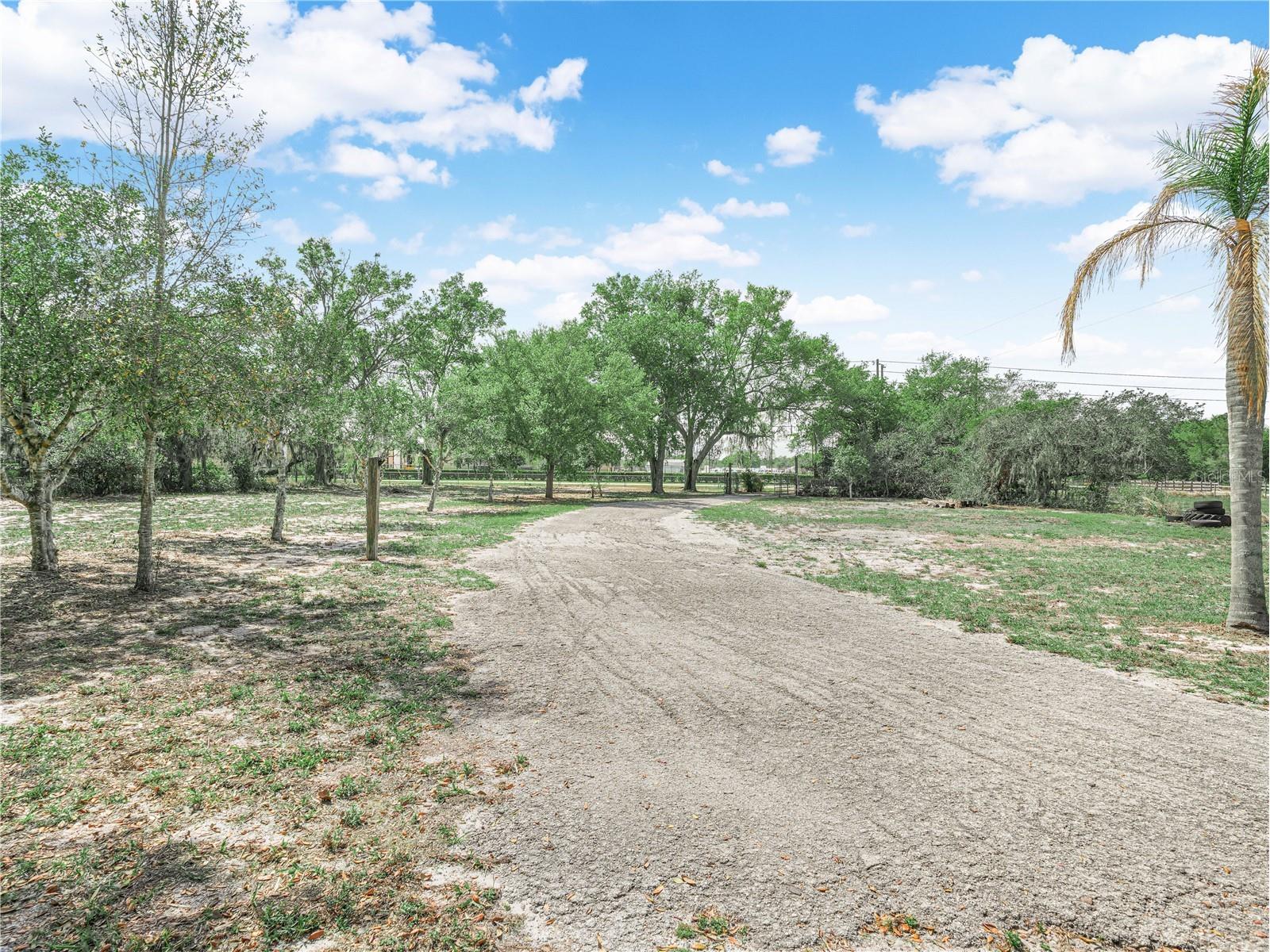 430 Alturas Babson Park Cutoff Lake Wales FL 33859 P4938264 image5