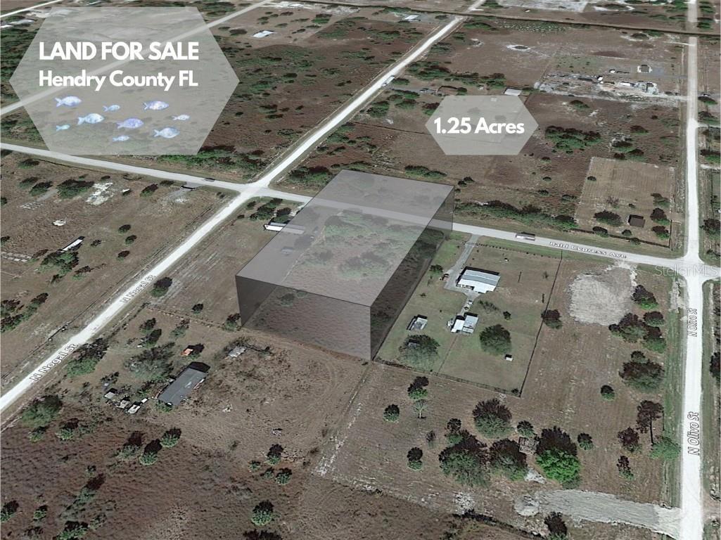 430 Bald Cypress Avenue Clewiston FL 33440 O6147300 image1