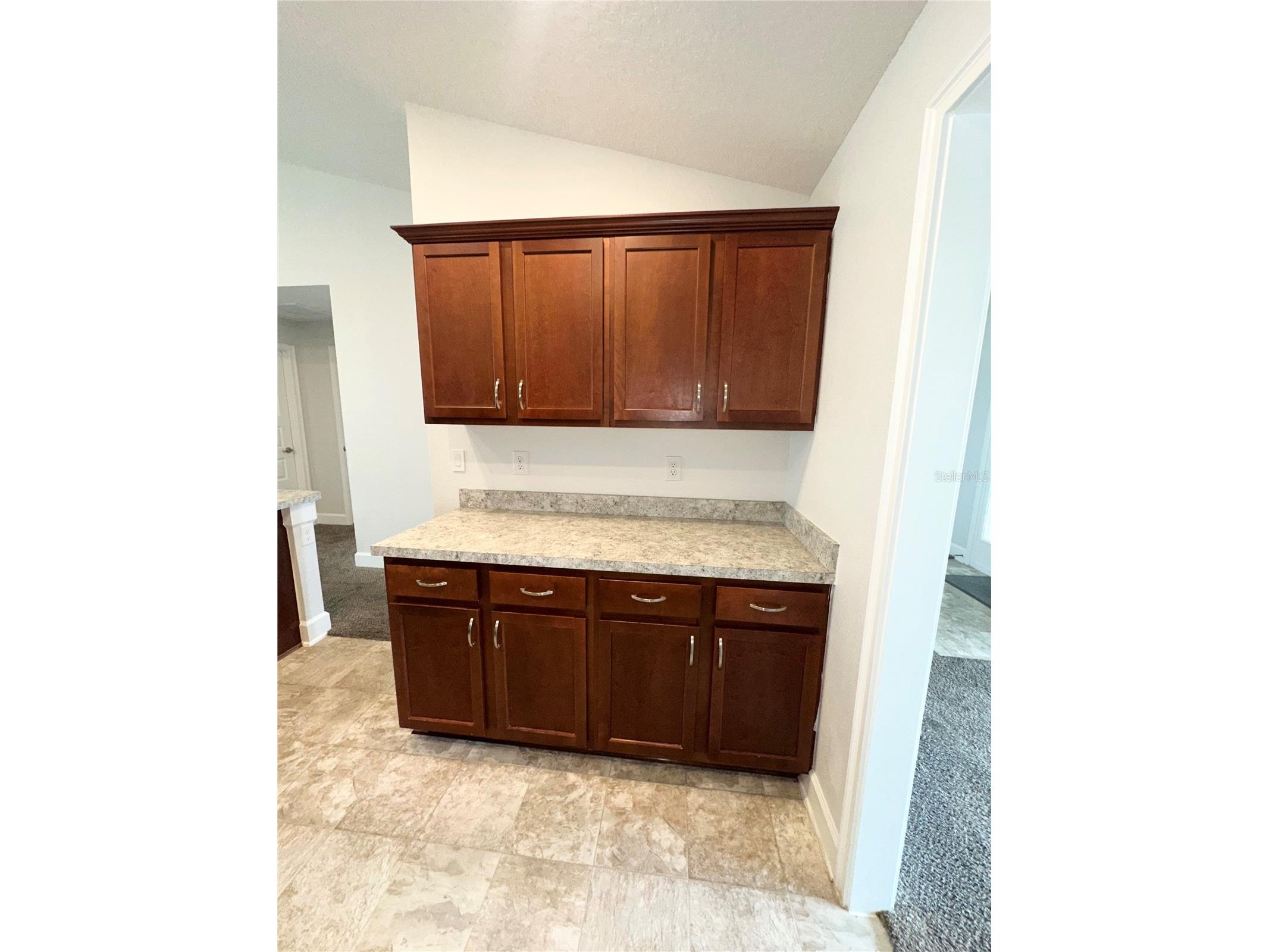 430 Big Sioux Ct Kissimmee FL 34759 S5145930 image4