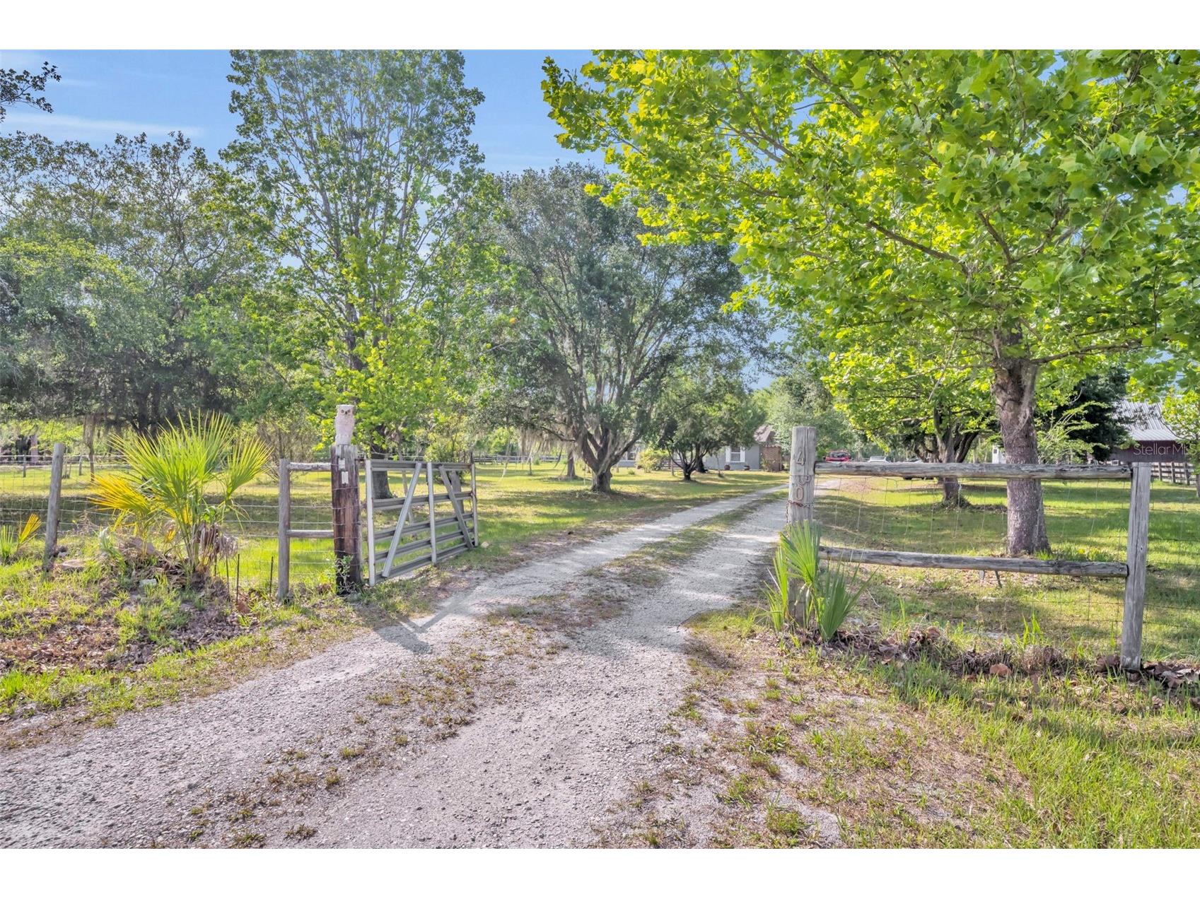430 Cypress Isles Road Osteen FL 32764 O6405591 image32