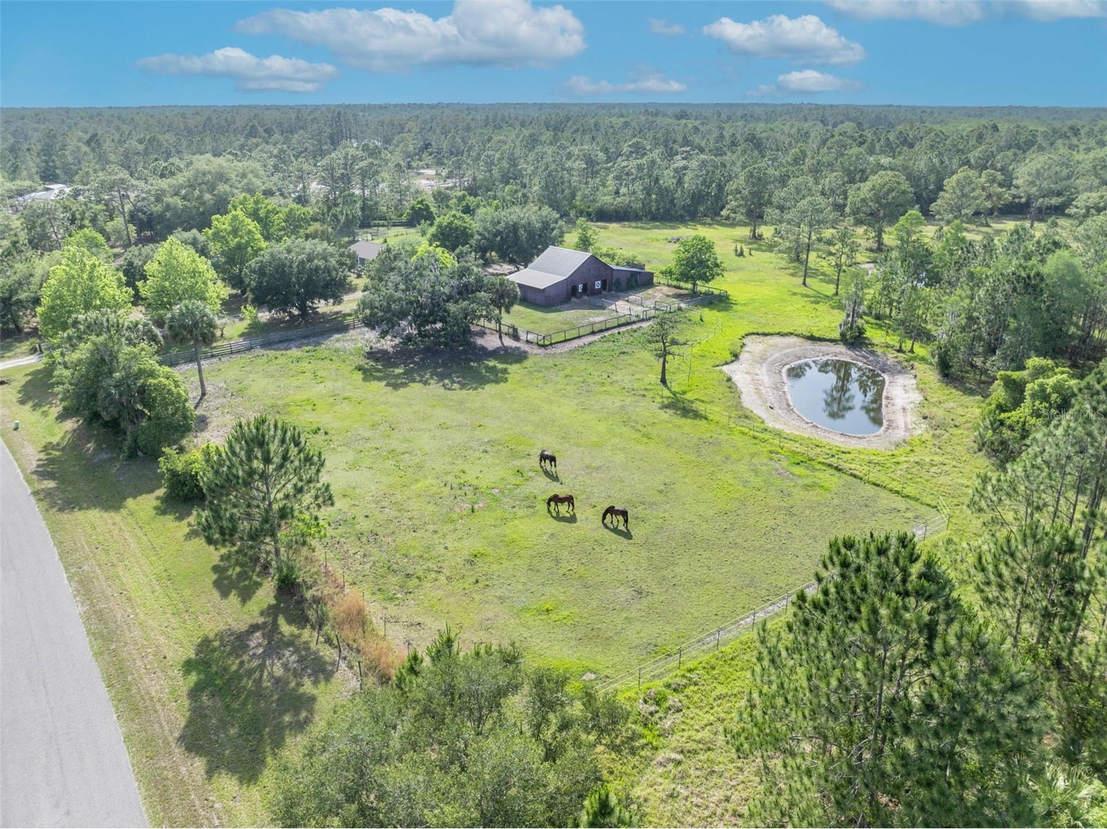 430 Cypress Isles Road Osteen FL 32764 O6405591 image42