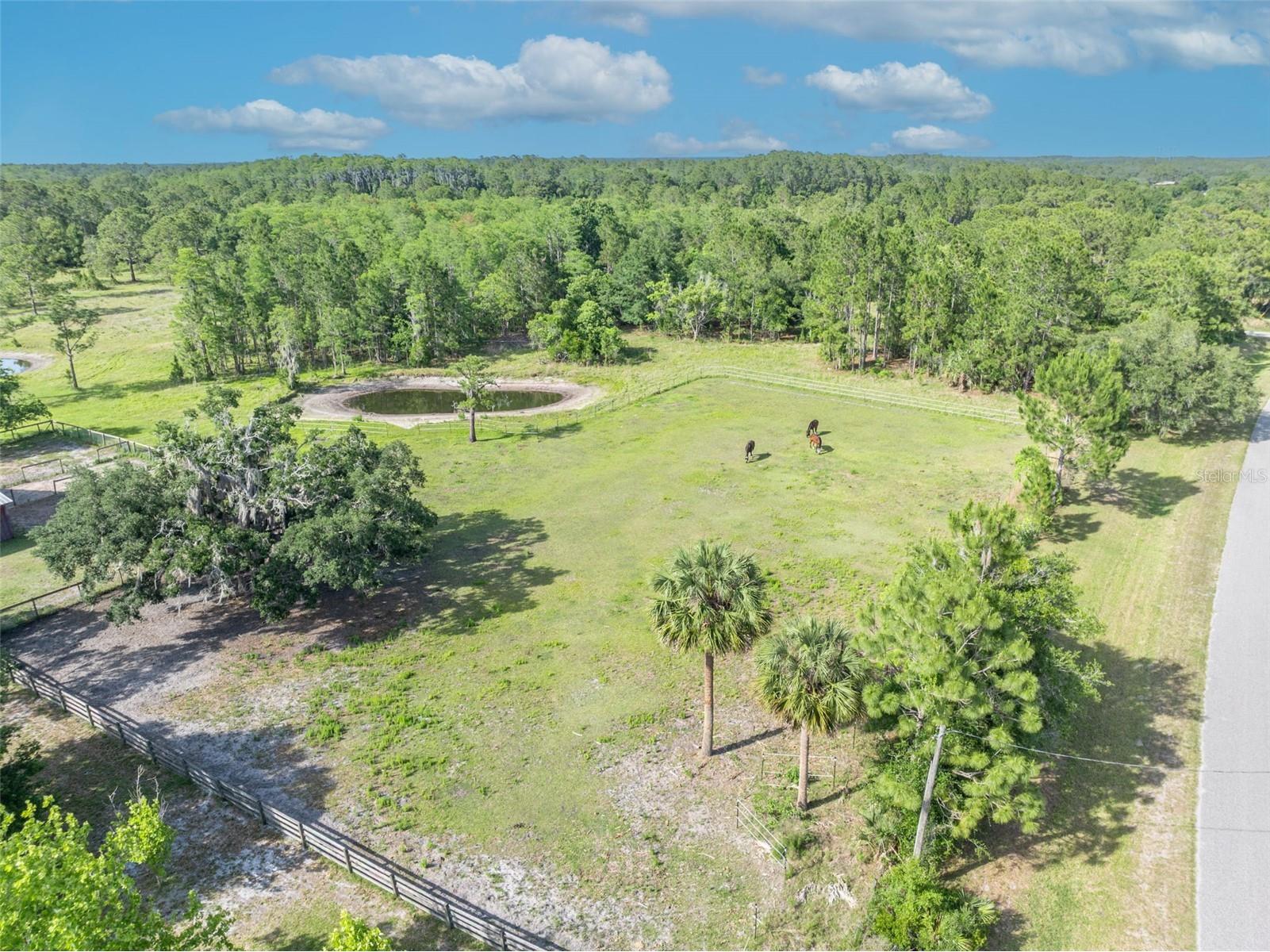 430 Cypress Isles Road Osteen FL 32764 O6405591 image43