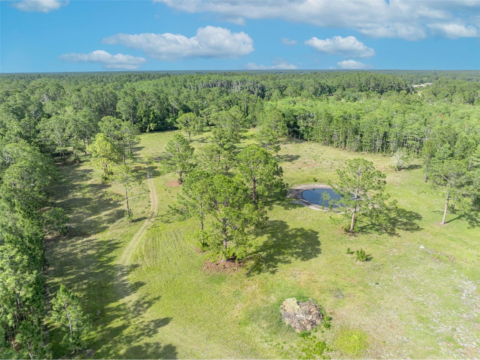 430 Cypress Isles Road Osteen FL 32764 O6405591 image45