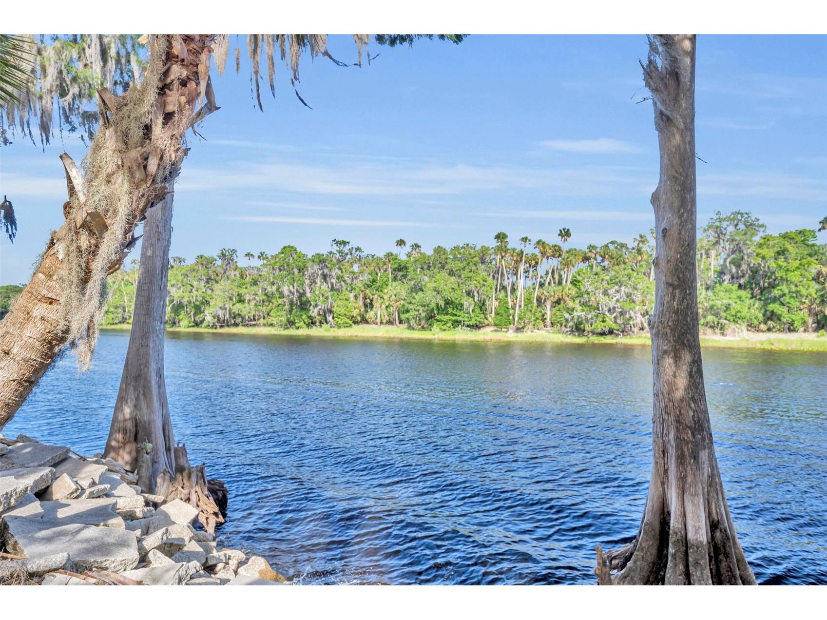 430 Cypress Isles Road Osteen FL 32764 O6405591 image50