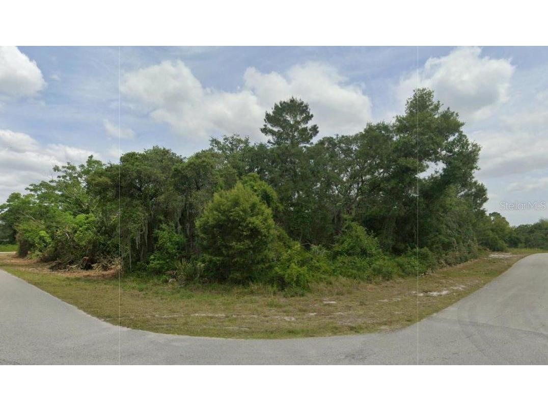 430 Grant Avenue NE Lake Placid FL 33852 O6250915 image1