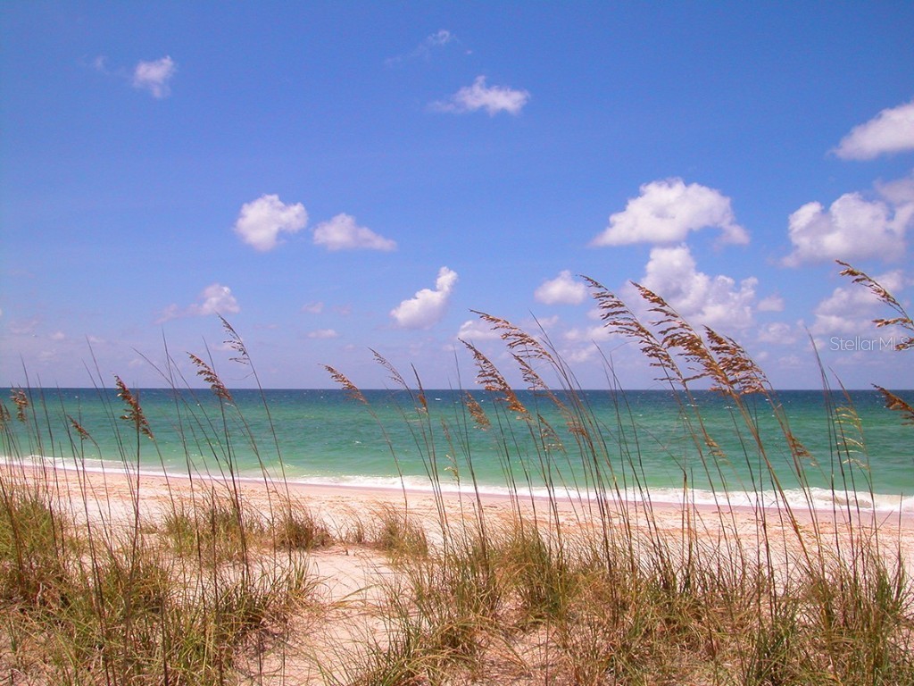430 Kumquat Court #206 Sarasota FL 34236 A4639643 image11