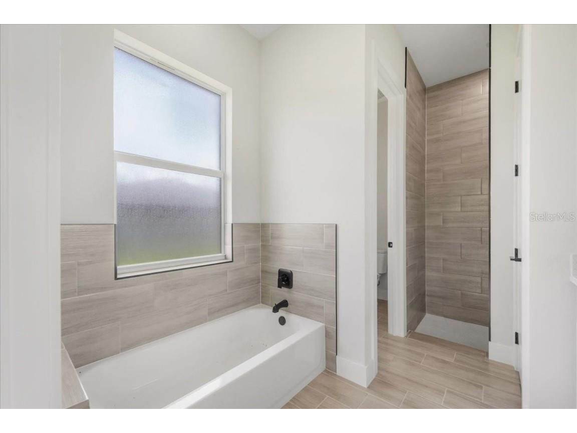 430 Mercedes Court Lehigh Acres FL 33972 TB8401872 image38