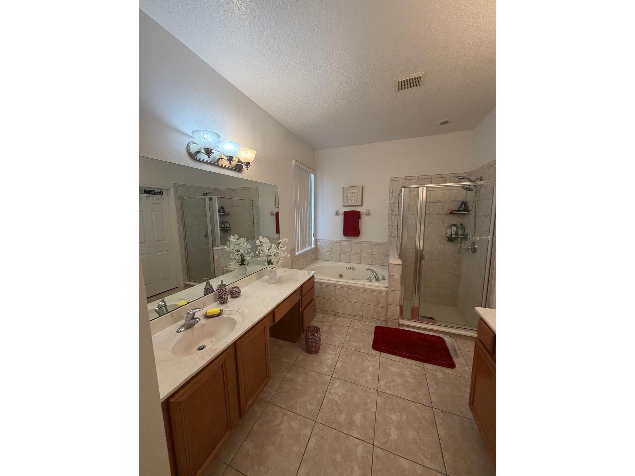 430 Merlot Drive Ocoee FL 34761 S5143888 image8
