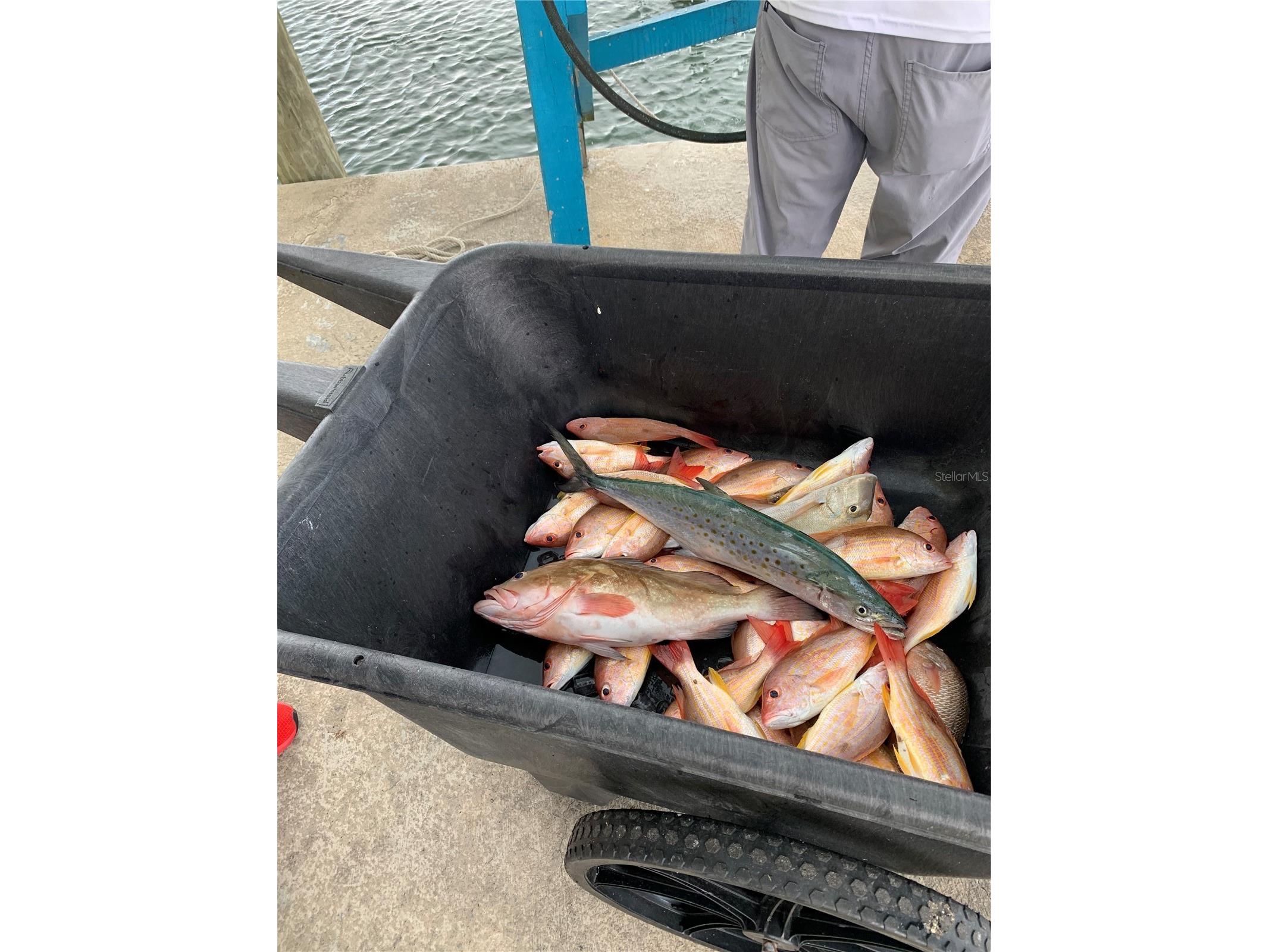 430 NW 39th Avenue Cape Coral FL 33993 D6145276 image54