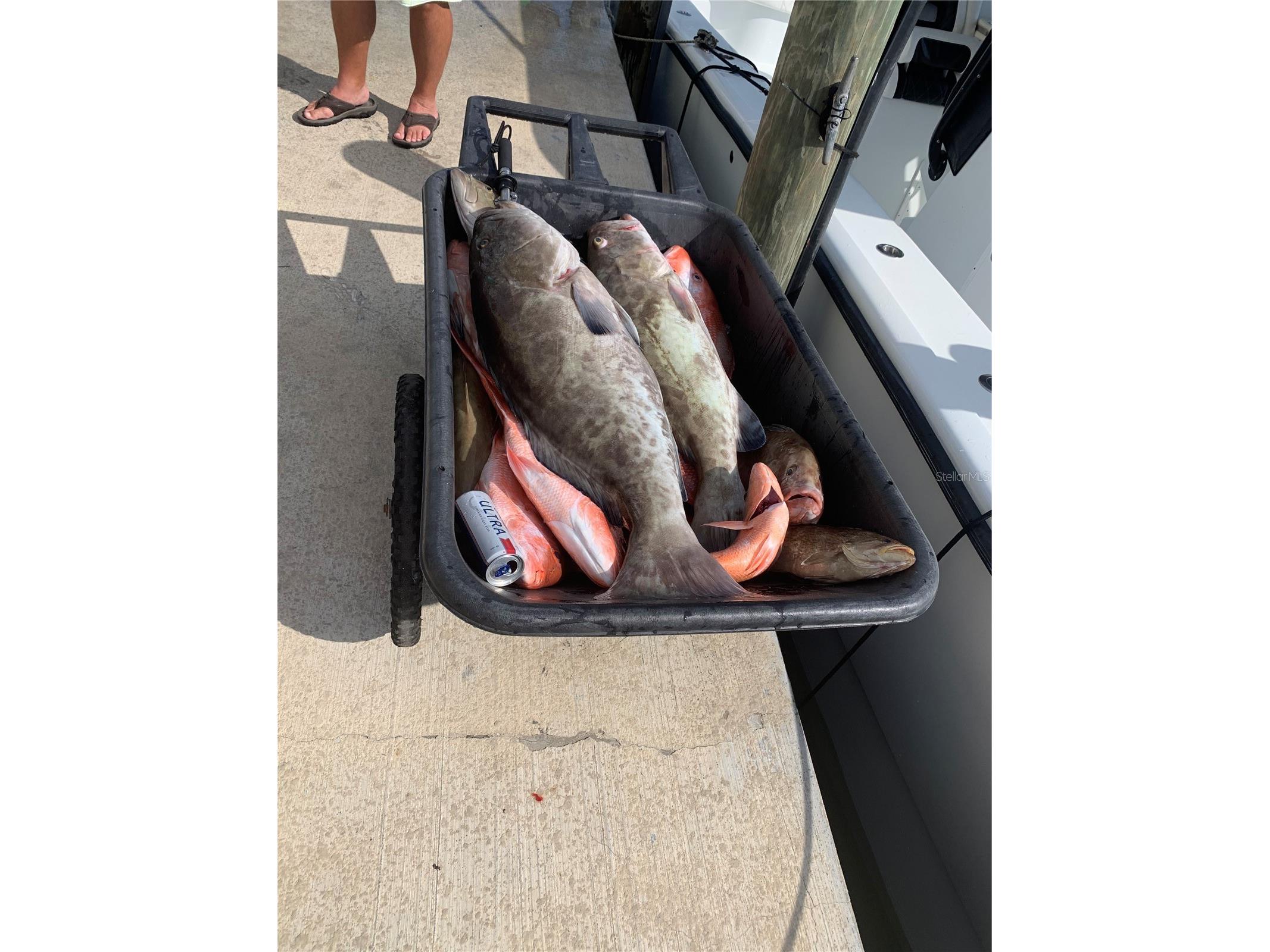 430 NW 39th Avenue Cape Coral FL 33993 D6145276 image55