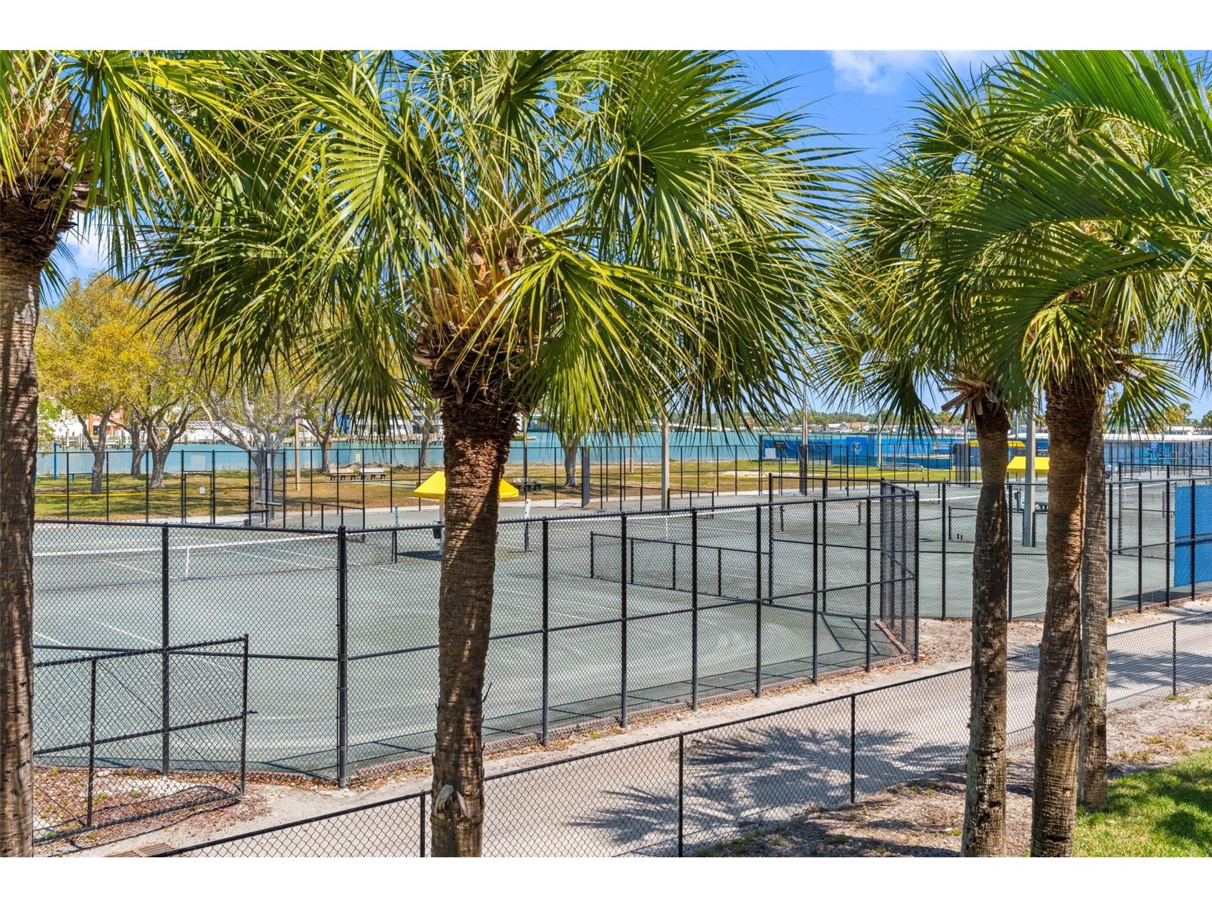 430 Sandy Hook Road Treasure Island FL 33706 TB8491487 image10