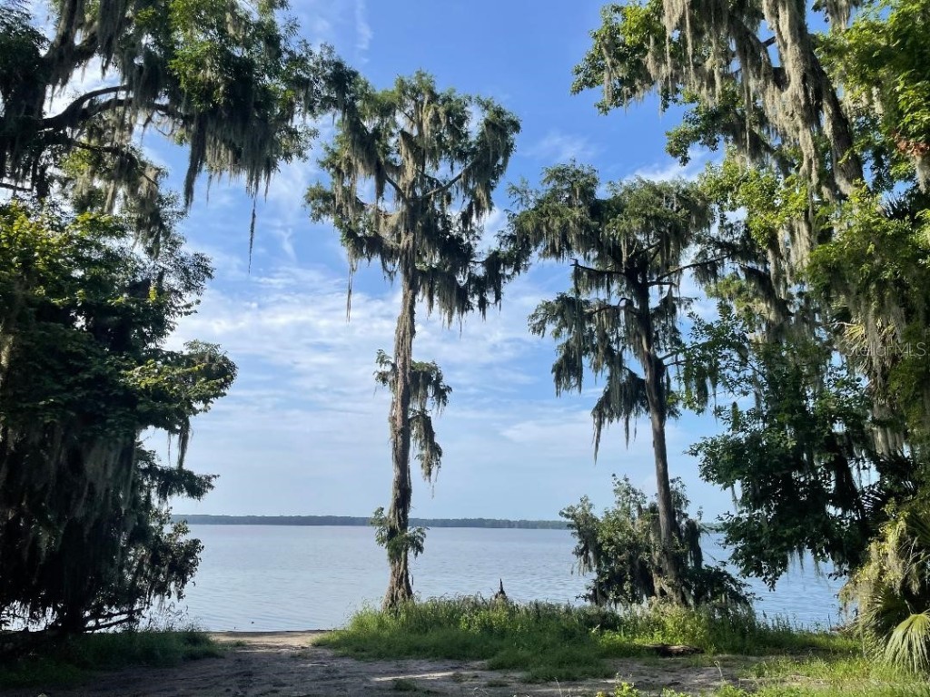 430 SE 74th Street Gainesville FL 32641 GC532447 image26