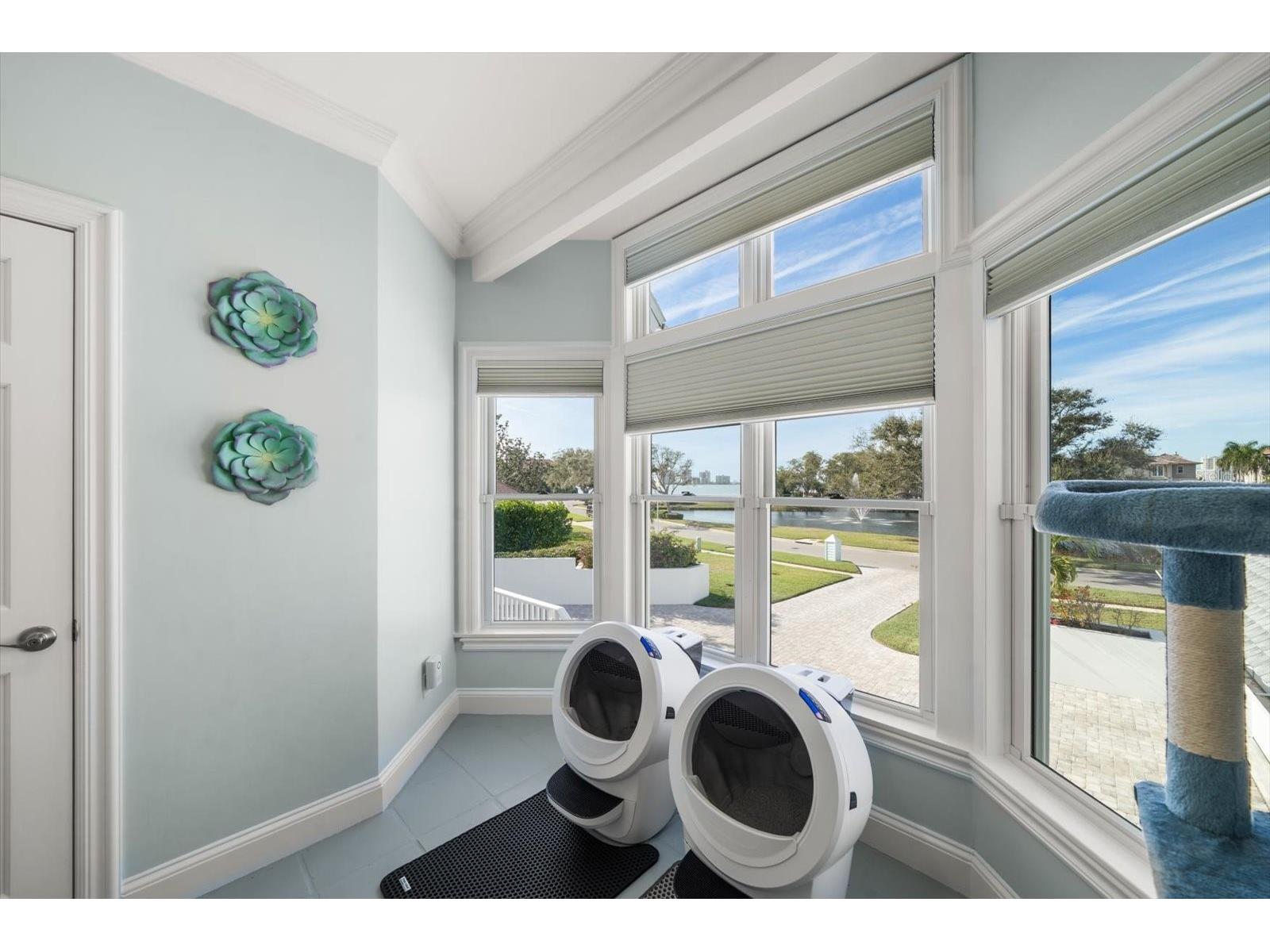 430 St Andrews Drive Belleair FL 33756 TB8464965 image68