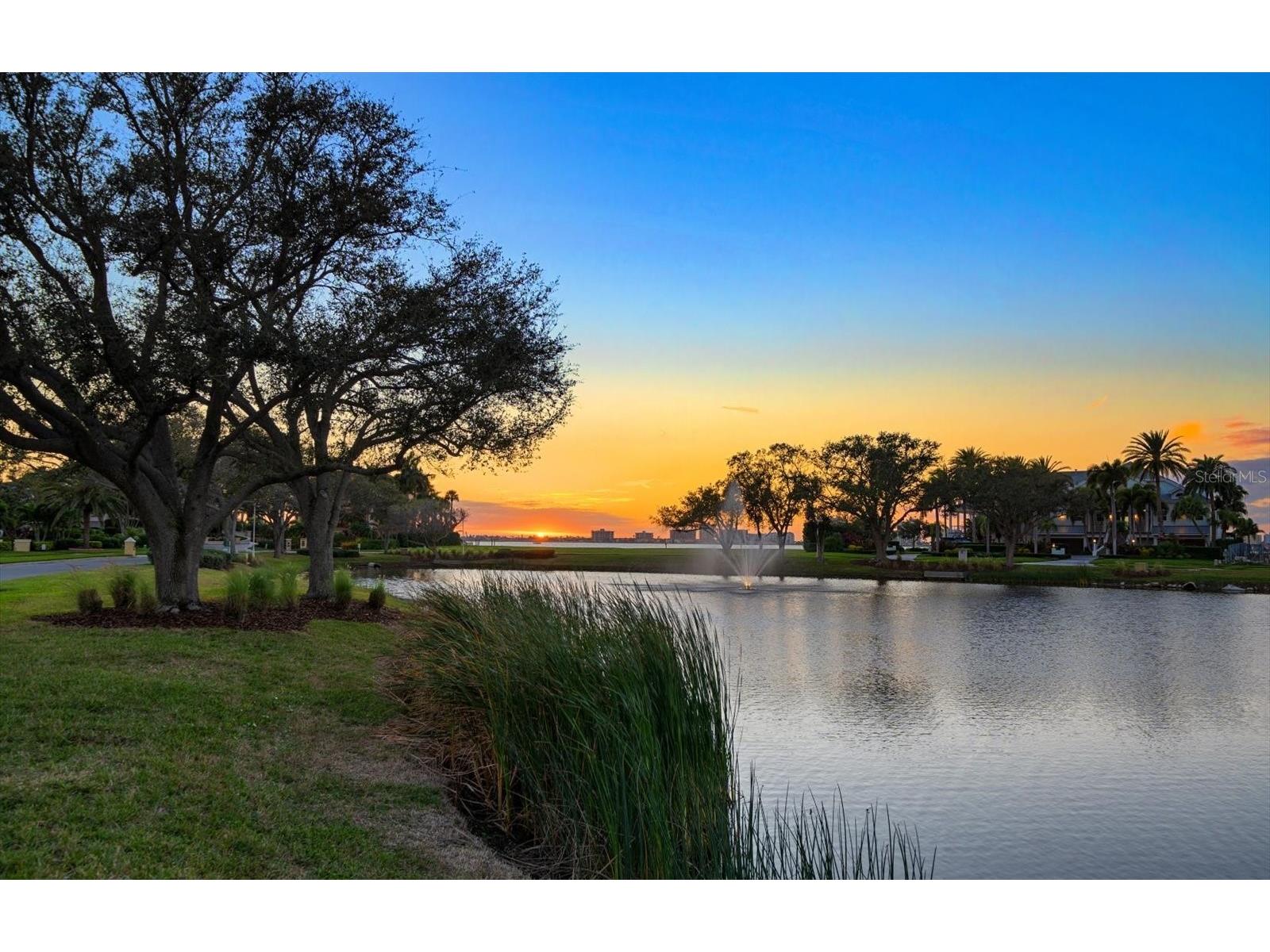 430 St Andrews Drive Belleair FL 33756 TB8464965 image8