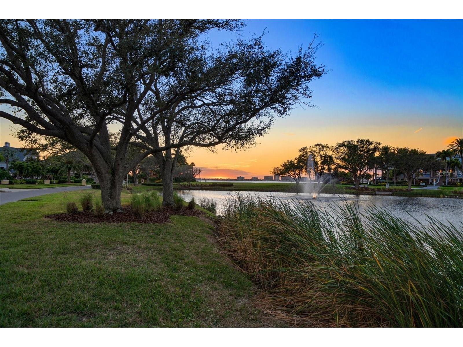 430 St Andrews Drive Belleair FL 33756 TB8464965 image94