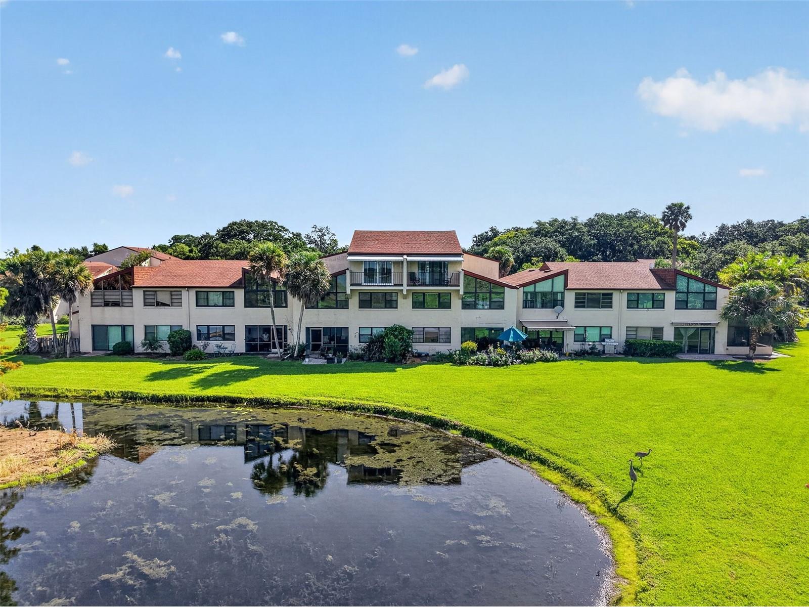 4300 Baywood Boulevard #A103 Mount Dora FL 32757 - LAKE SAUNDERS G5115368 image24