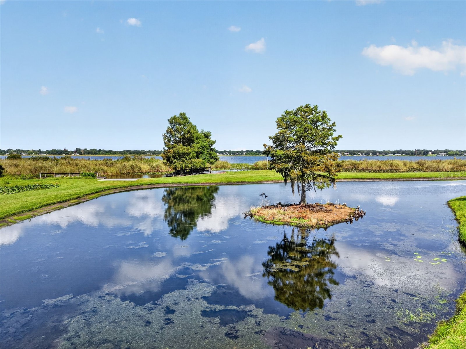 4300 Baywood Boulevard #A103 Mount Dora FL 32757 - LAKE SAUNDERS G5115368 image29