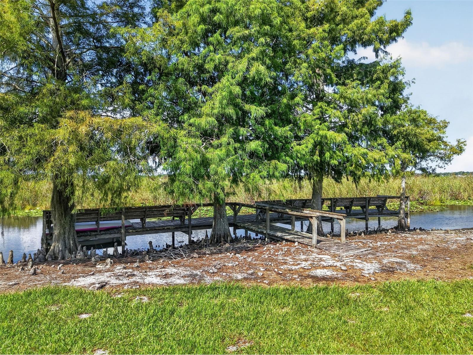 4300 Baywood Boulevard #A103 Mount Dora FL 32757 - LAKE SAUNDERS G5115368 image30