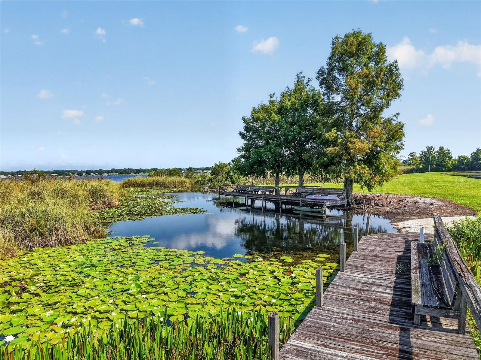 4300 Baywood Boulevard #A103 Mount Dora FL 32757 - LAKE SAUNDERS G5115368 image32
