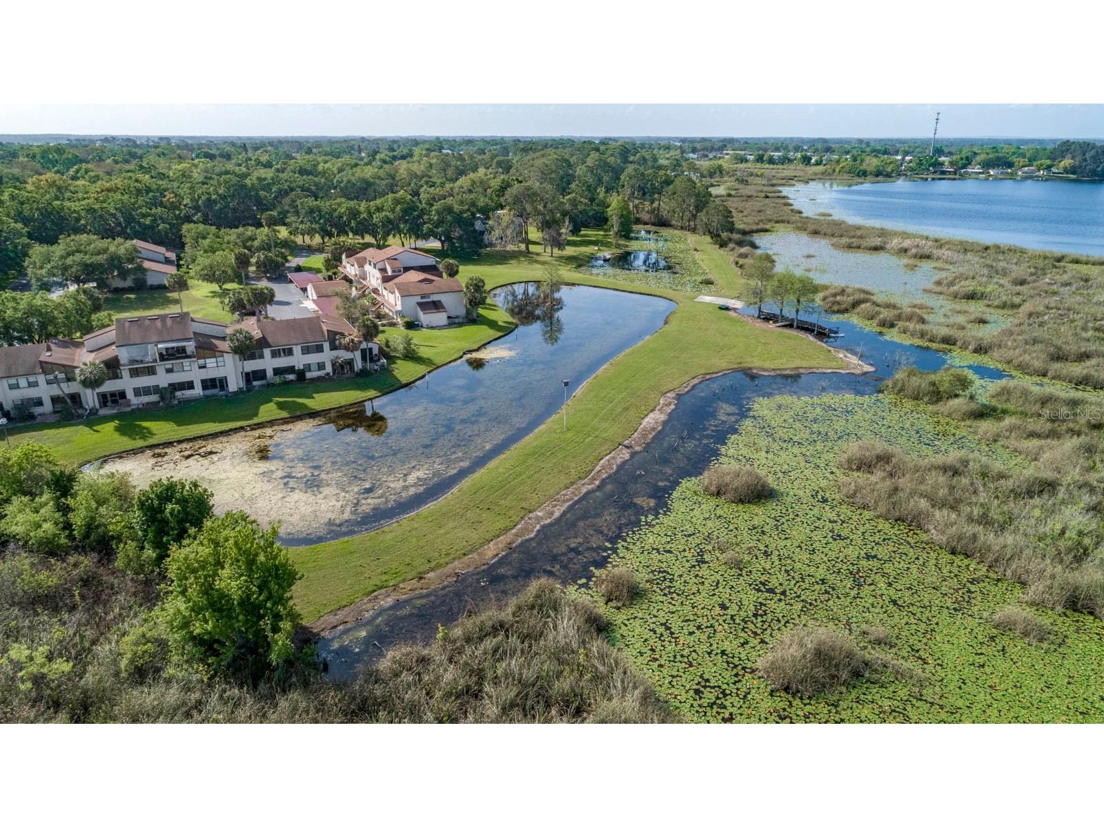 4300 Baywood Boulevard #B102 Mount Dora FL 32757 G5109828 image18