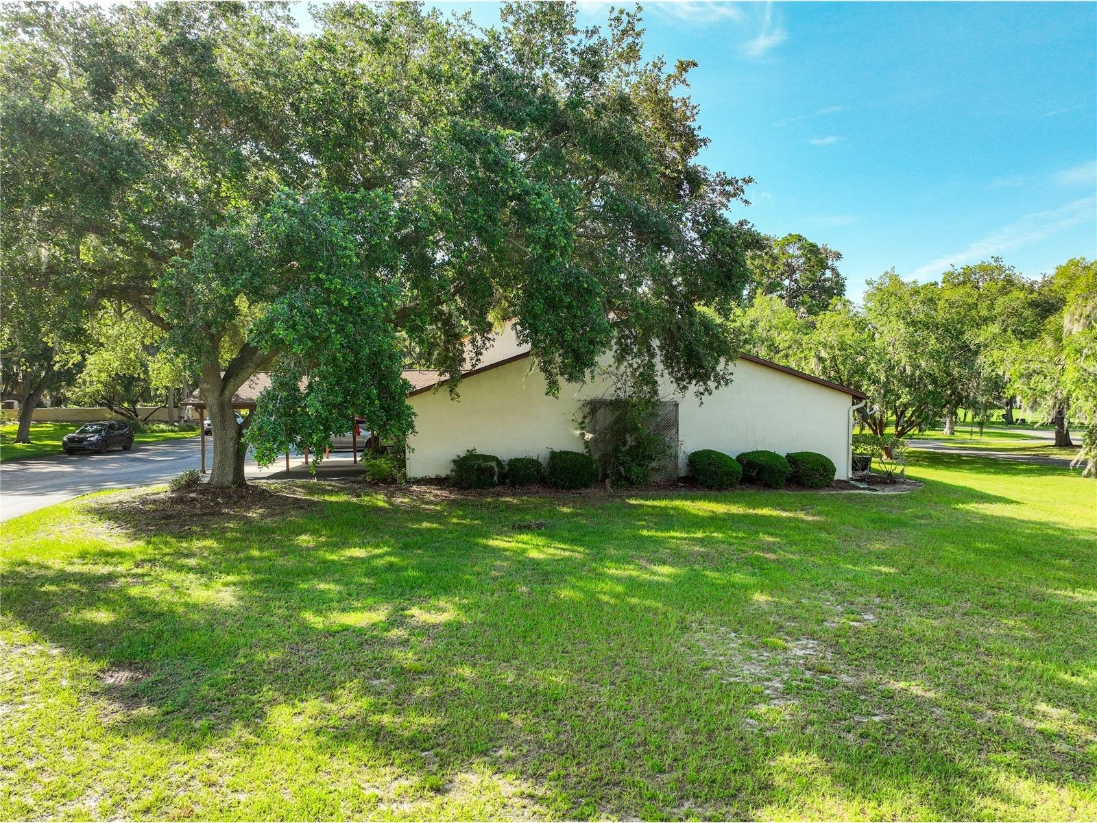 4300 Baywood Boulevard #C106 Mount Dora FL 32757 - LAKE SAUNDERS G5113298 image34