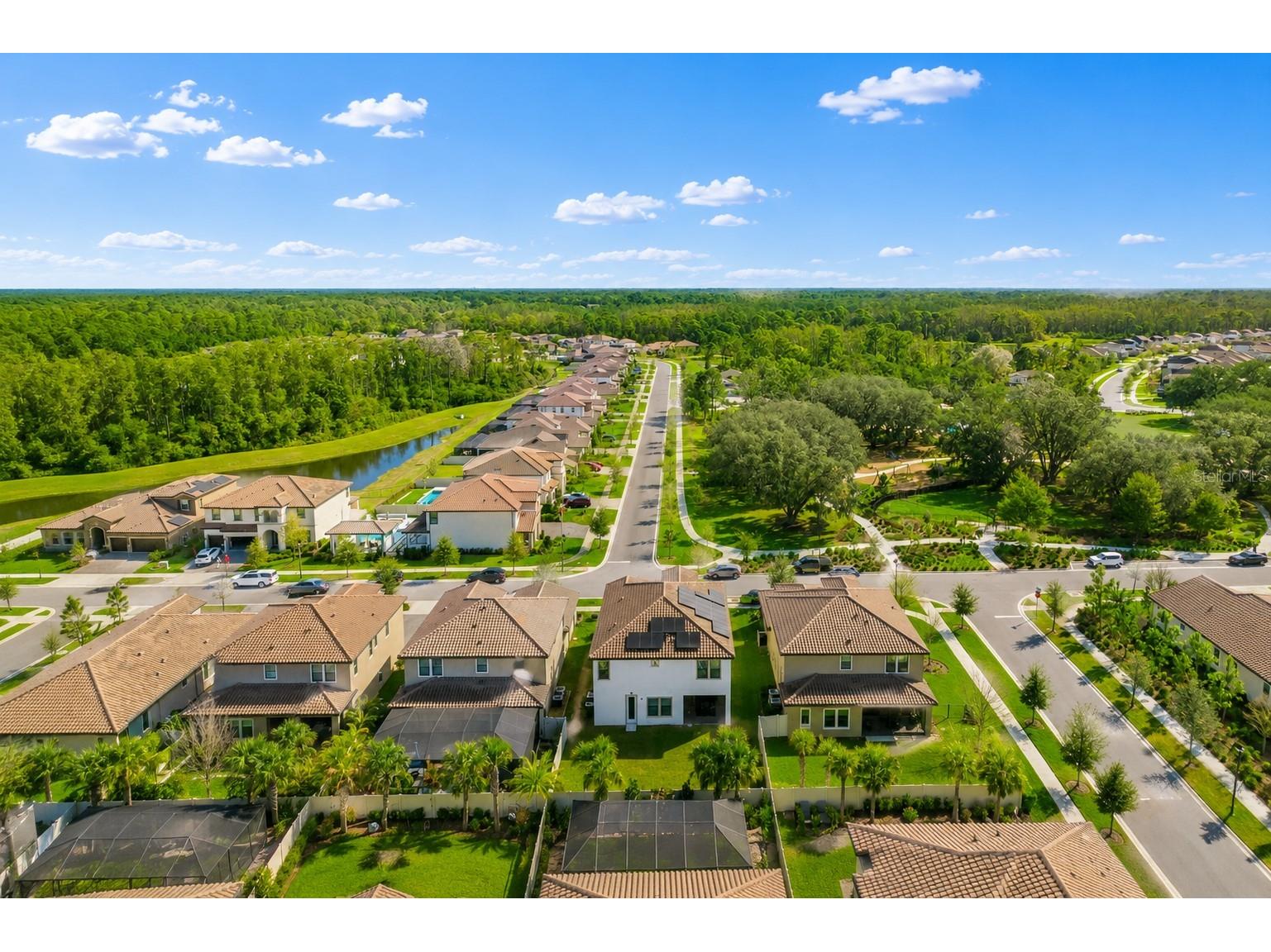 4300 Burdick Loop Odessa FL 33556 W7883629 image2