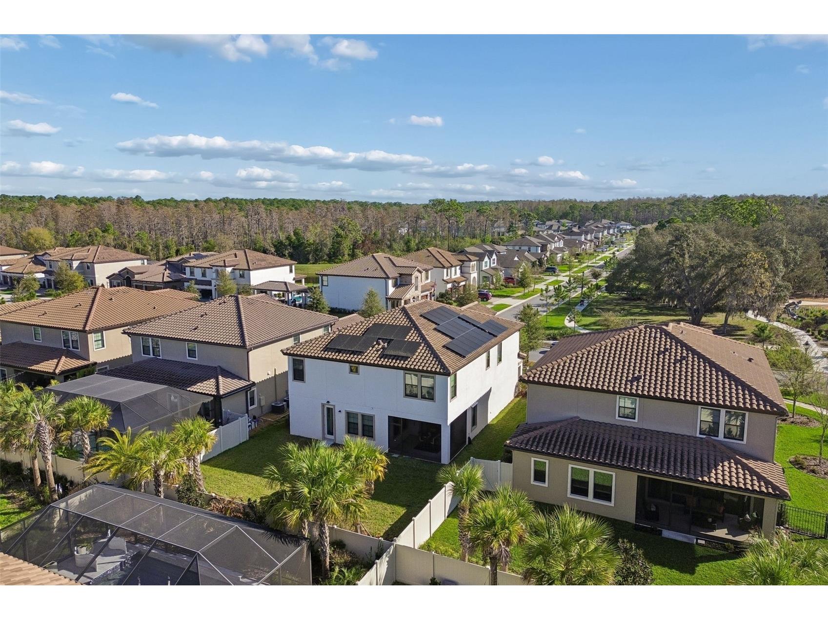 4300 Burdick Loop Odessa FL 33556 W7883629 image31