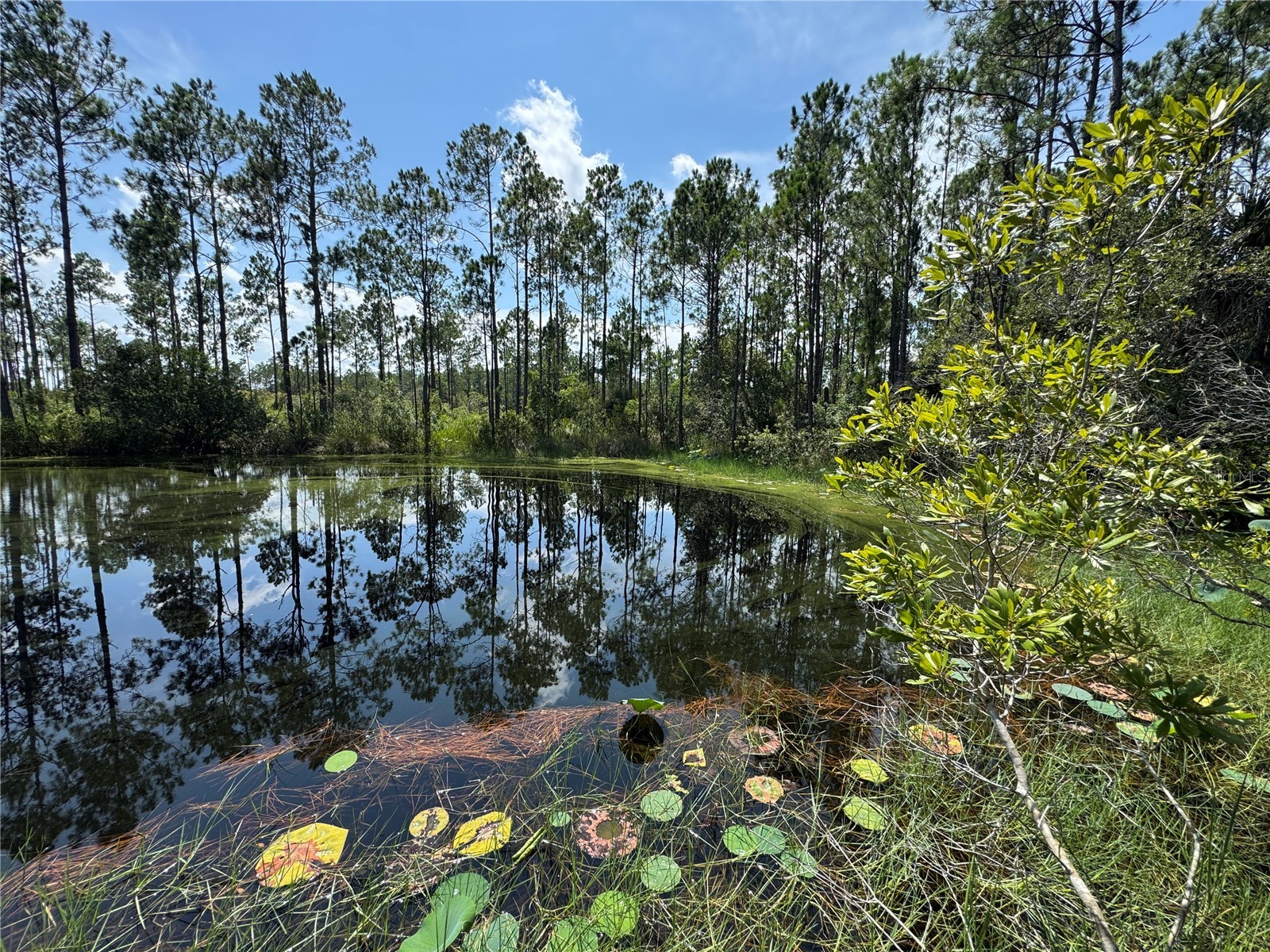 4300 Justa Road Mims FL 32754 O6387999 image10