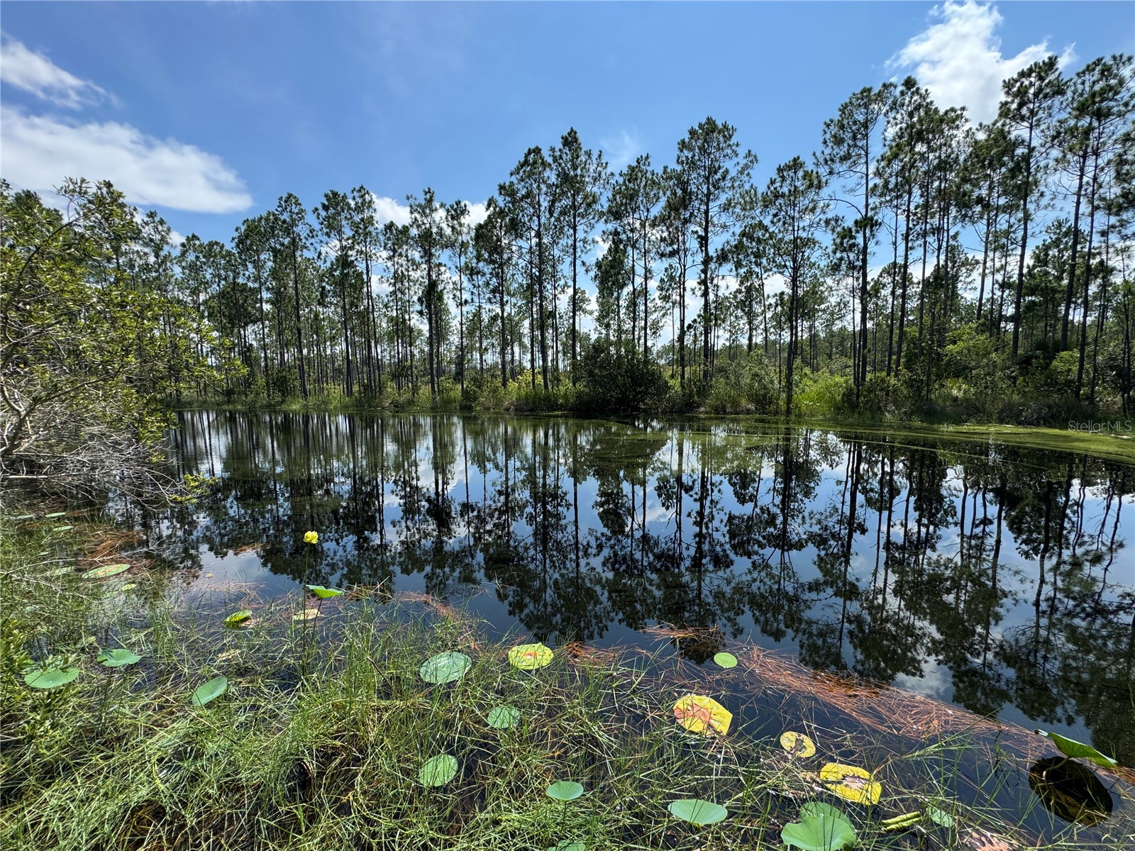 4300 Justa Road Mims FL 32754 O6387999 image11