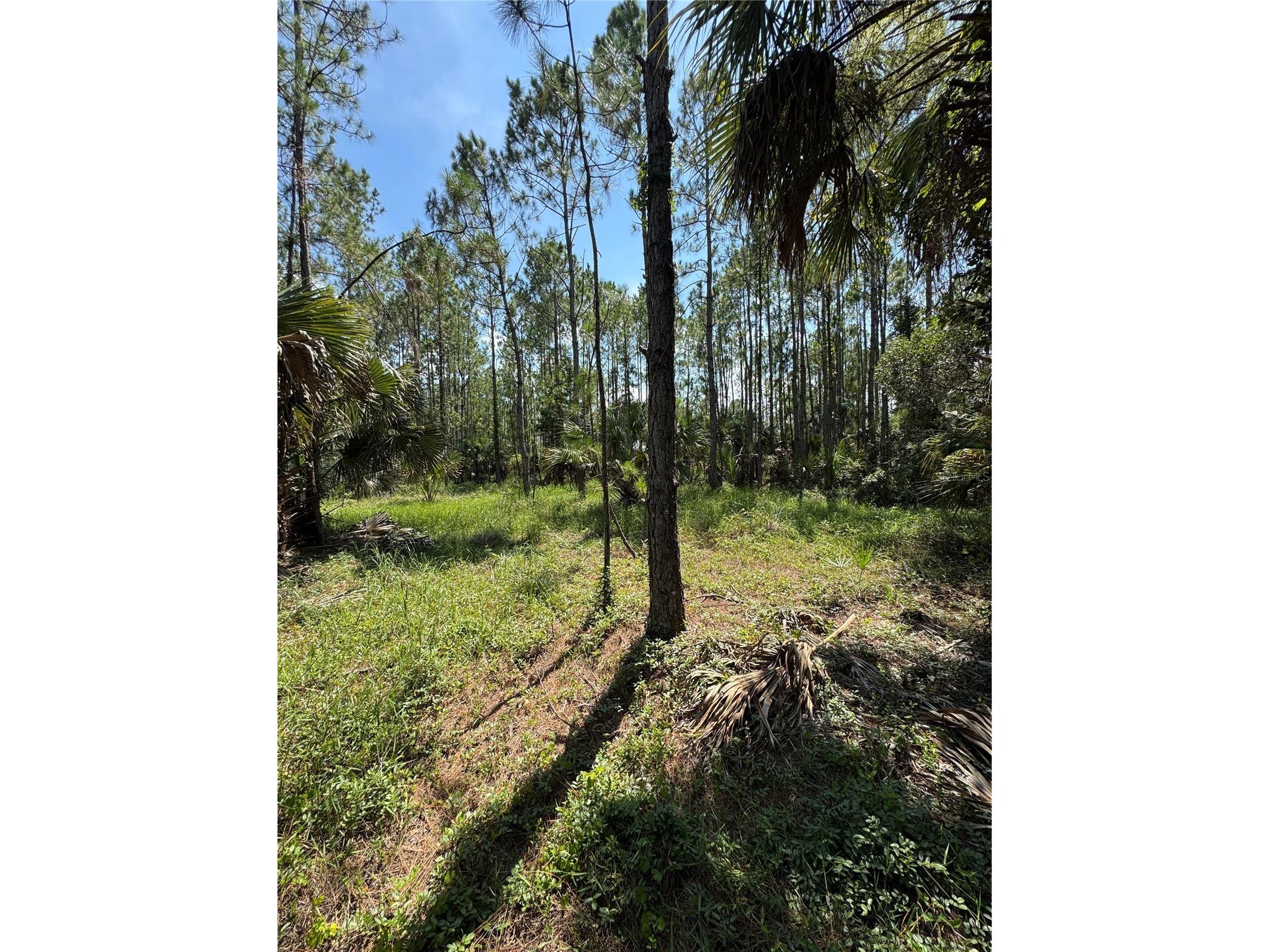 4300 Justa Road Mims FL 32754 O6387999 image12
