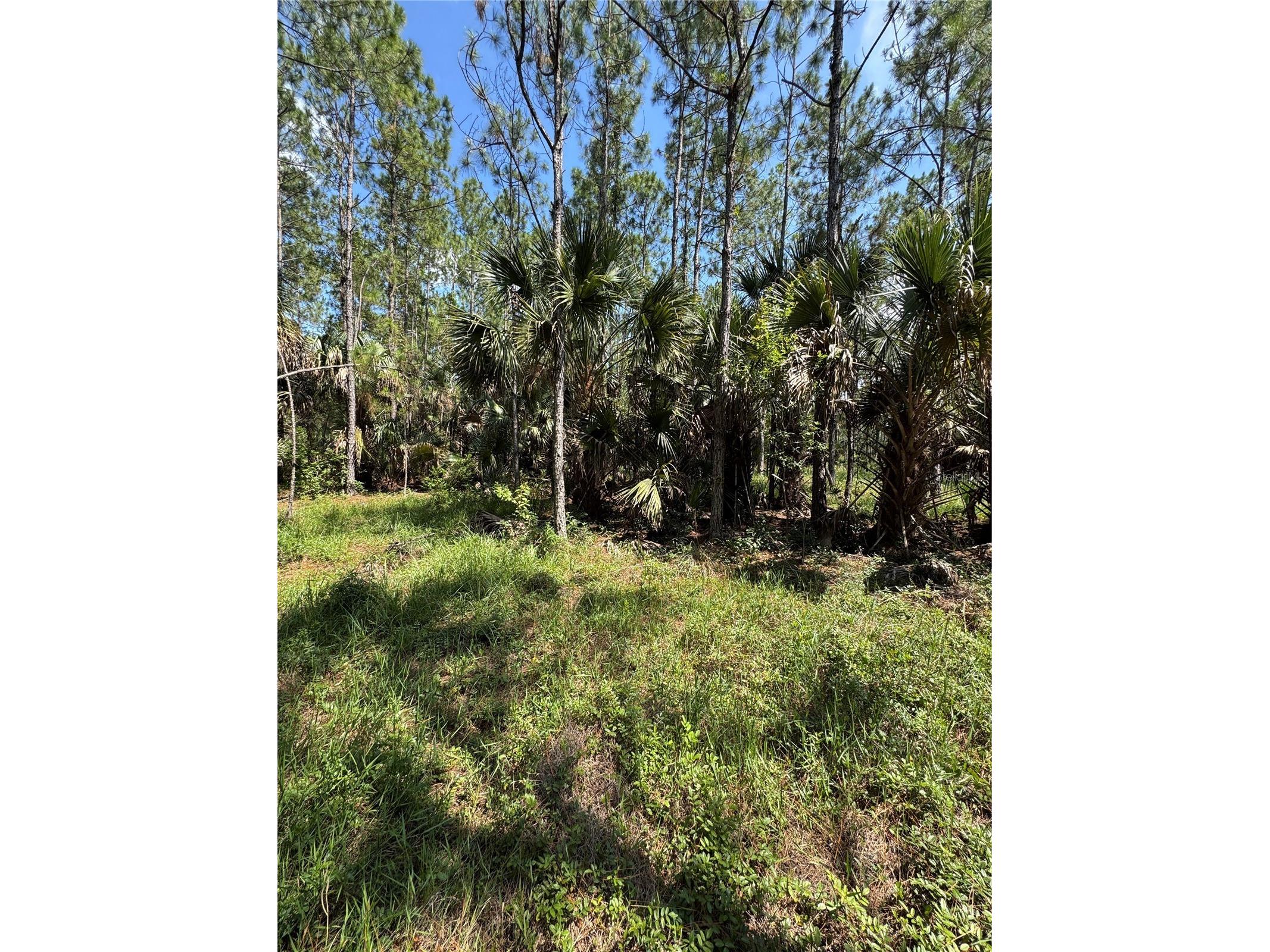 4300 Justa Road Mims FL 32754 O6387999 image13