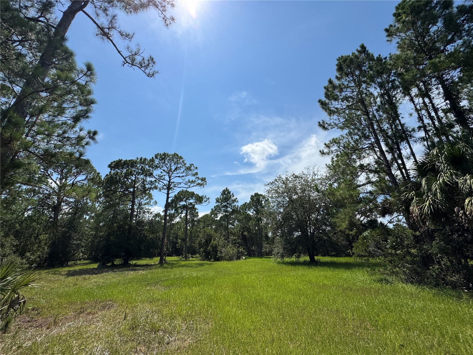 4300 Justa Road Mims FL 32754 O6387999 image14