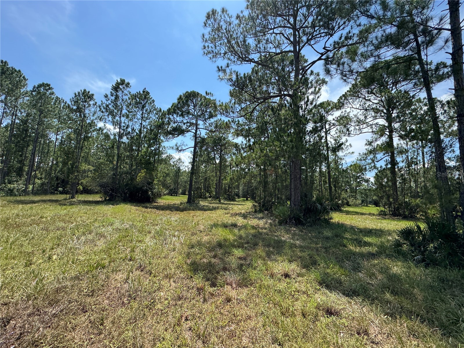 4300 Justa Road Mims FL 32754 O6387999 image15