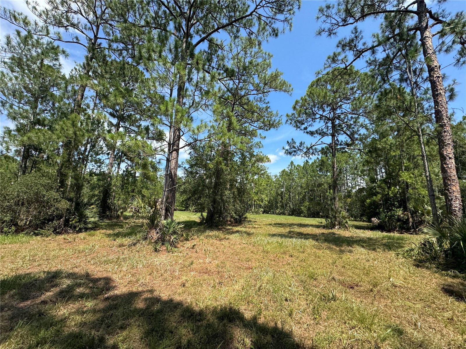4300 Justa Road Mims FL 32754 O6387999 image17