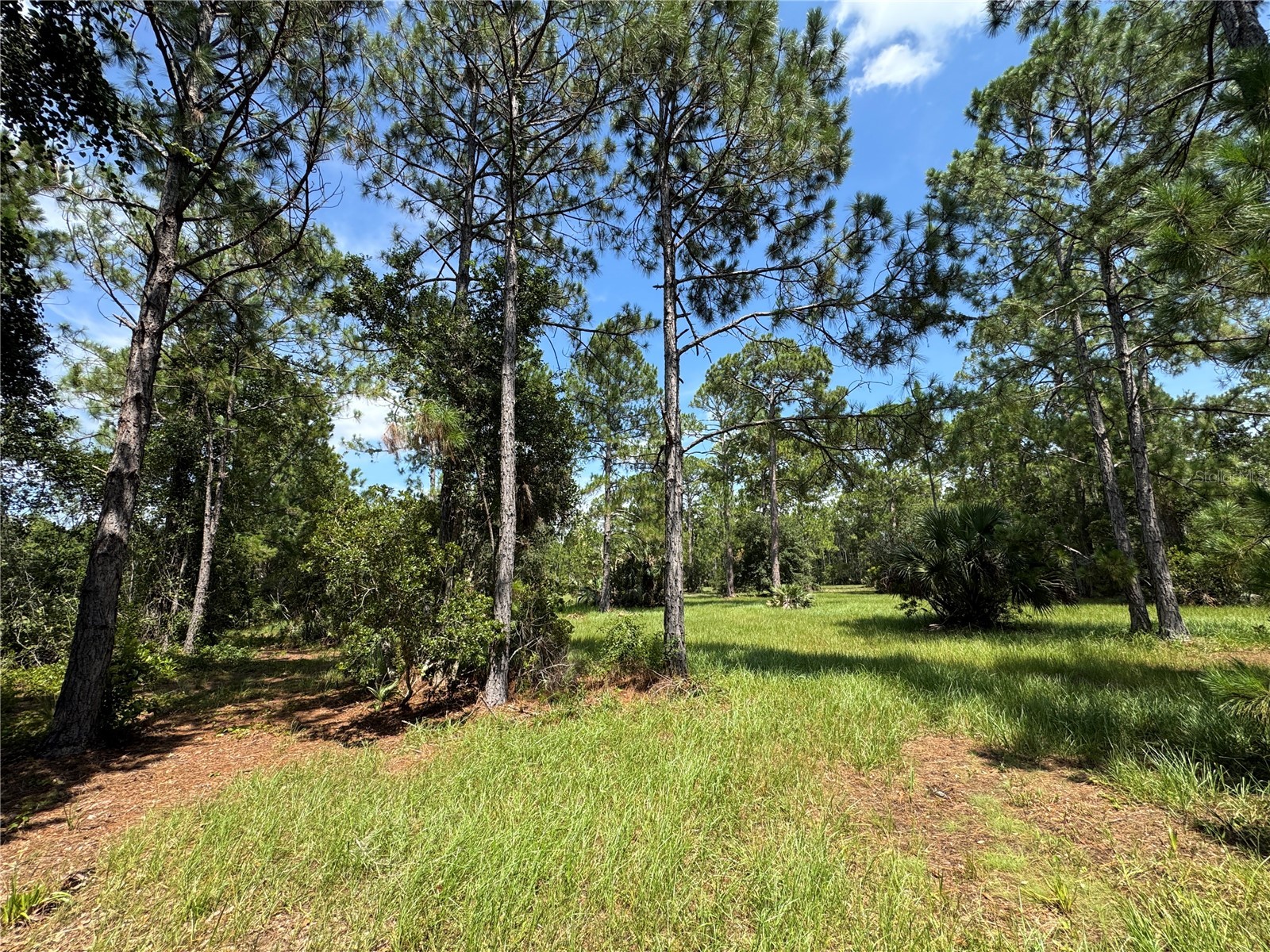 4300 Justa Road Mims FL 32754 O6387999 image19