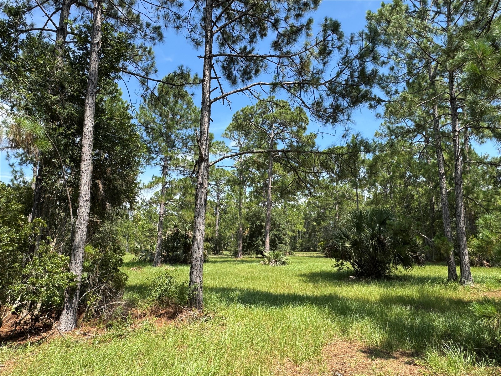 4300 Justa Road Mims FL 32754 O6387999 image20
