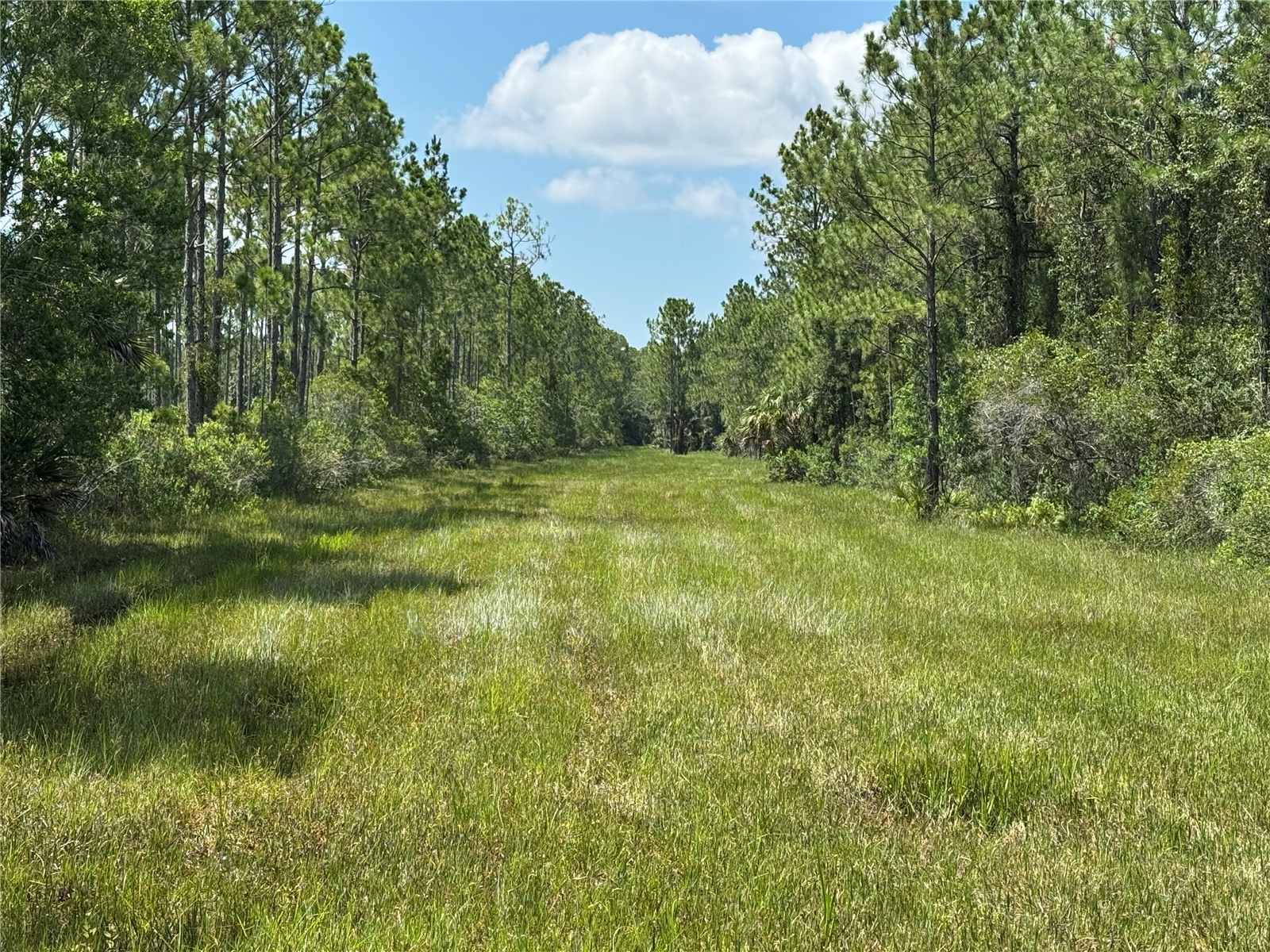 4300 Justa Road Mims FL 32754 O6387999 image26