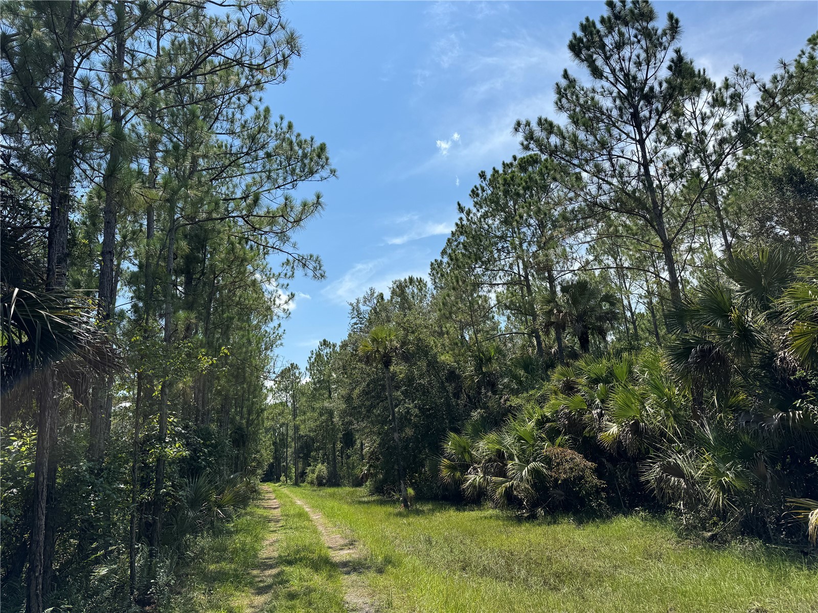 4300 Justa Road Mims FL 32754 O6387999 image27